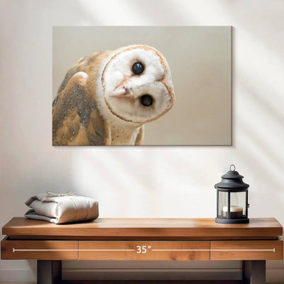 Brampt Curious Bird