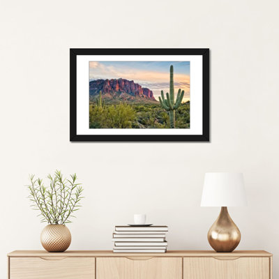 " Cacti View II " by David Drost