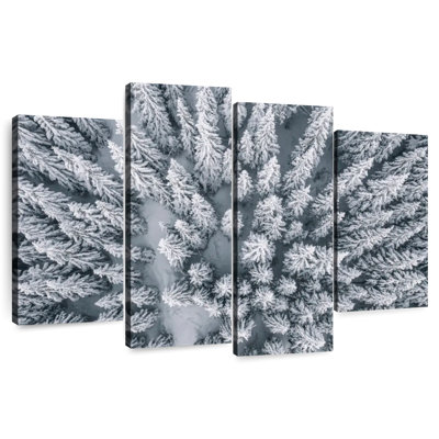 Pin Harnek recouvert de neige