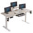 Modernchamp 63'' Dual Motor Height Adjustable Standing Desk With Laminate-88086879
