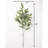 Eucalyptus Arrangement