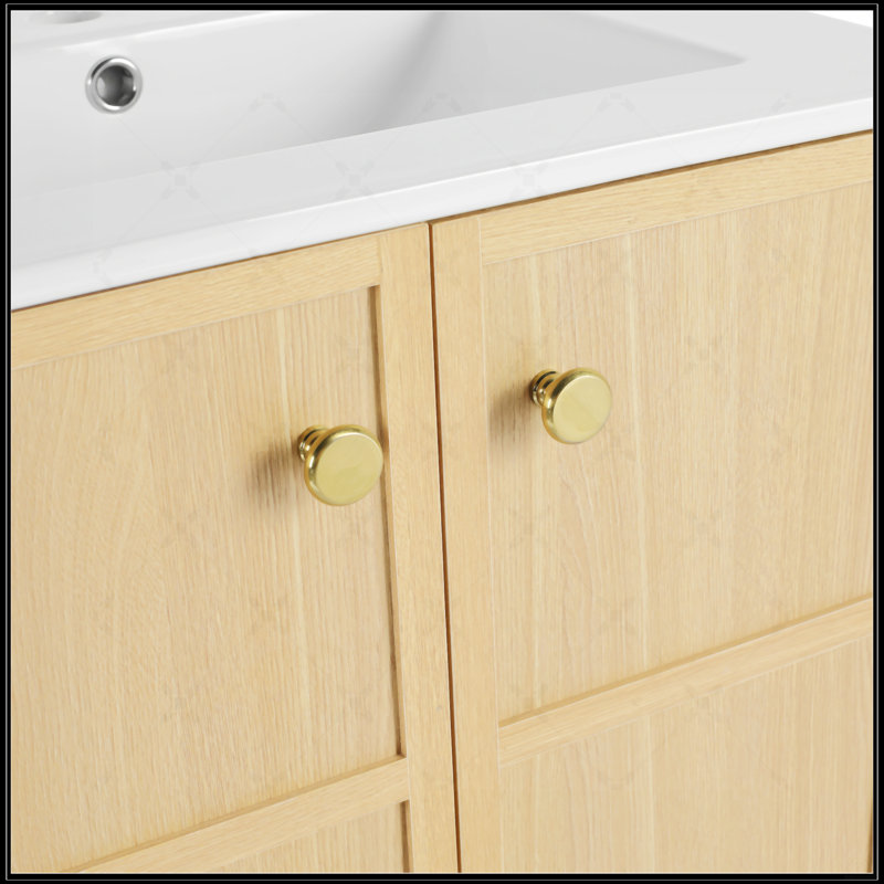 Meuble-lavabo autoportant de 24 po avec 2 portes à fermeture douce, fabrication en contreplaqué durable, solution de rangement moderne et spacieuse
