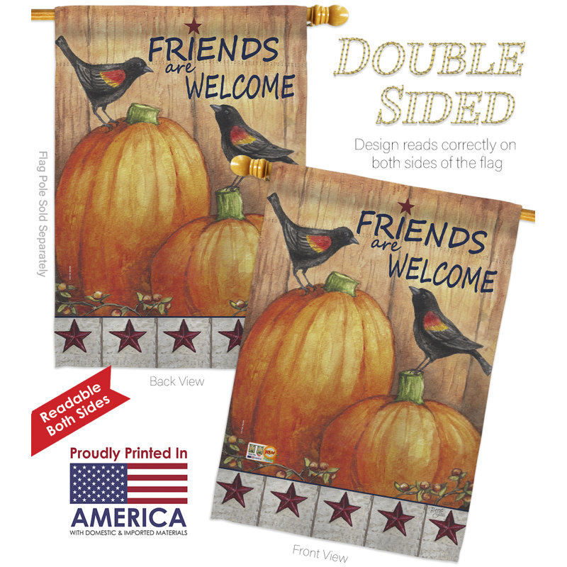 Ensemble de drapeaux en polyester 40 po x 28 po Welcome Friends Crows