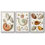 Collection Shells I - Ensemble de 3 cadres flottants sur toile-97754092-97754089