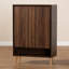15 Pair Shoe Storage Cabinet