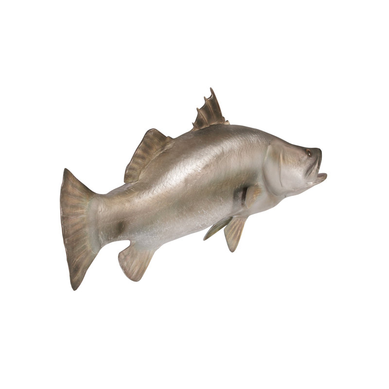 Sculpture de trophée à fixation murale barramundi