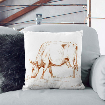Square Throw Cushion