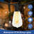 Shizuo 25' Outdoor LED Solar Powered 25 - Bulb Standard String Light