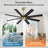 8-Plywood Blades Indoor Ceiling Fan With Remote-1857472947-1857472708