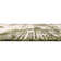 Green Cartago Indoor/Outdoor Modern Rug