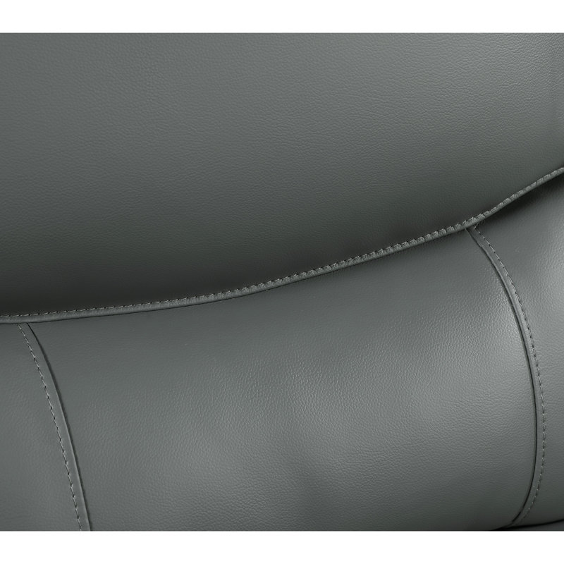 Chaise en cuir véritable, Gris