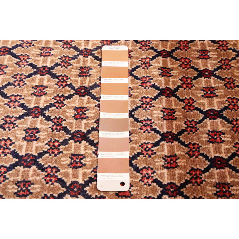 Tapis brun Anatolian Vintage 5 pi 5 po x 9 pi 8 po