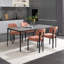 Ensemble de 2 chaises de salle à manger de style moderne Mid-Century Boucle, élégantes et ergonomiques avec des pieds en métal noir pour une assise confortable-2144838340