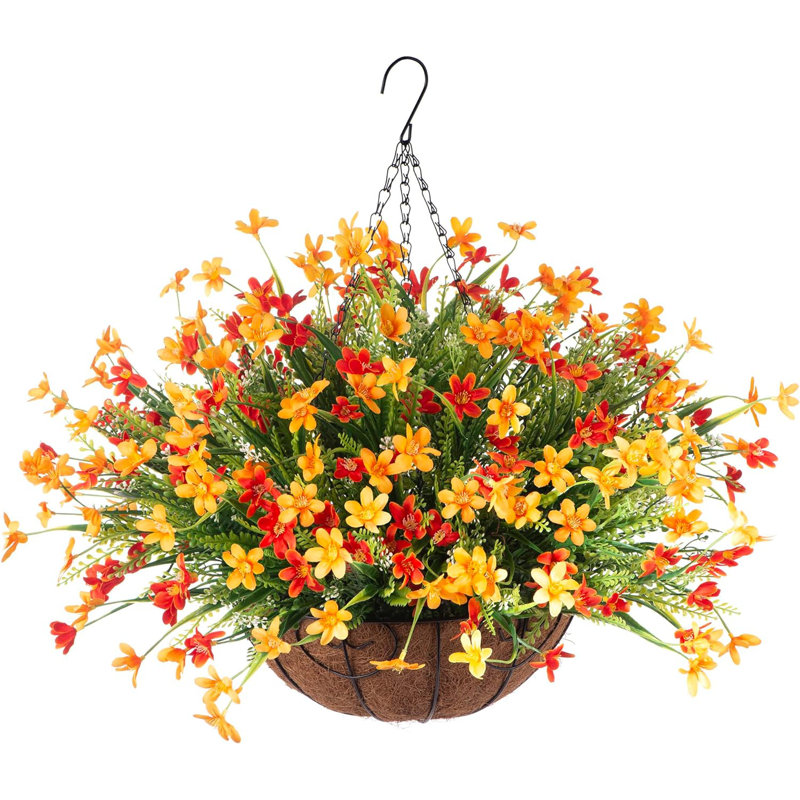 Arrangement de marguerites