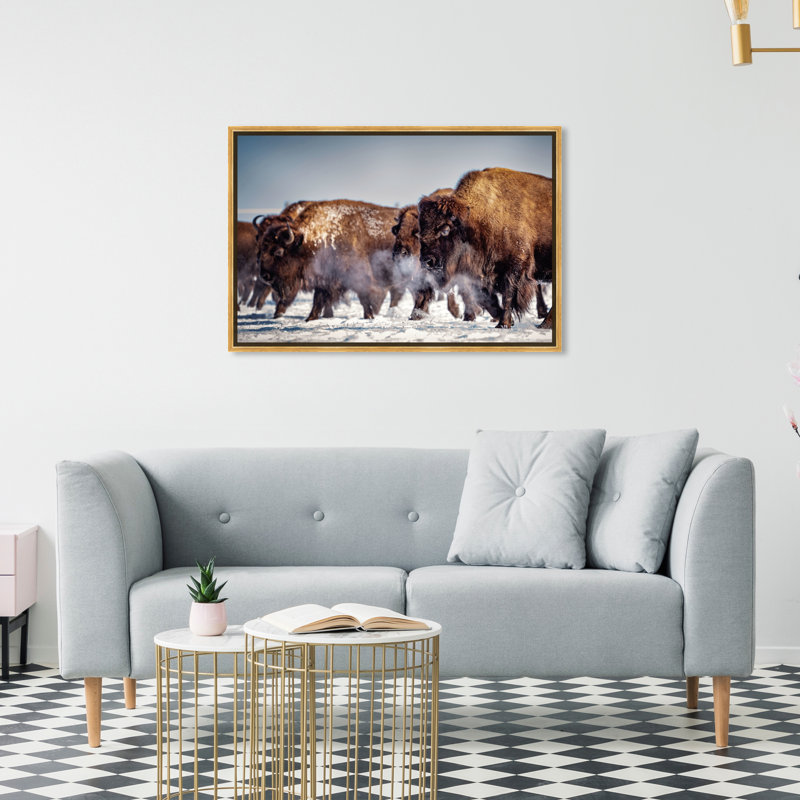 Buffalo Herd In A Snow Landscape Print, 20" H x 30" W, Wrapped Canvas