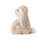 «Love Light Buddies» - lapin Billy