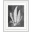 Fernspiration Gray 2' Framed Graphic Art Print on Glass