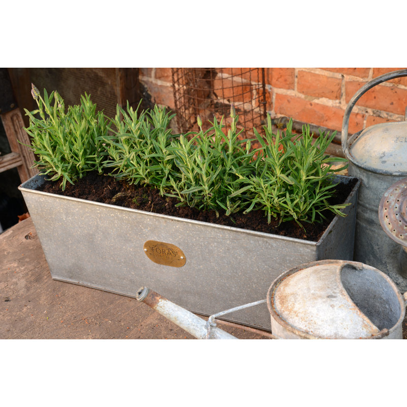Rambo Handmade Metal Planter Box, 16cm H x 40cm W x 16cm D