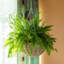 Round Planter-1874431679