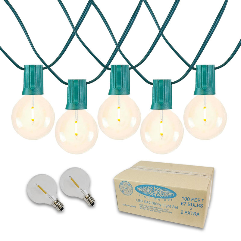 Doyne 100ft Outdoor LED 67 - Bulb Globe String Light (End to End Connectable), Green, G50