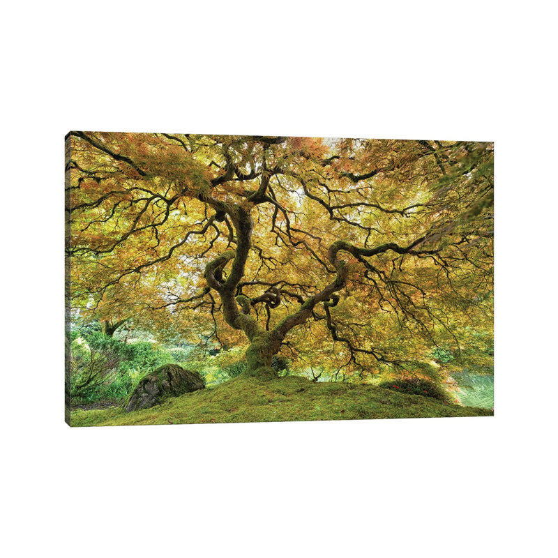 Fairy Tale Tree by Mateusz Piesiak - Wrapped Canvas Print, 30.48 cm H x 45.72 cm W