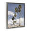 Cadre flottant Palm Springs, dessiné par Danita Delimont-729896592-729896594