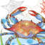 Oceana Crab White Framed Print Wall Art
