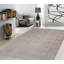 Transitional Silver/Gray Area Rug