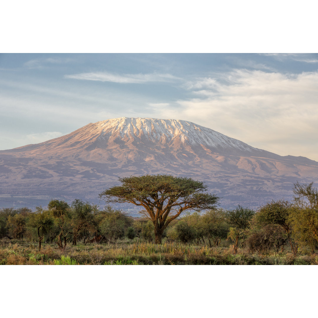 Mount Kilimanjaro In The Morning von 1001slide - Leinwand Kunstdrucke