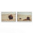 Prairie Bisons Set of 2-100965258-100965267-128161477