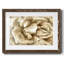 Fleur murale neutre II-941175344-941175347