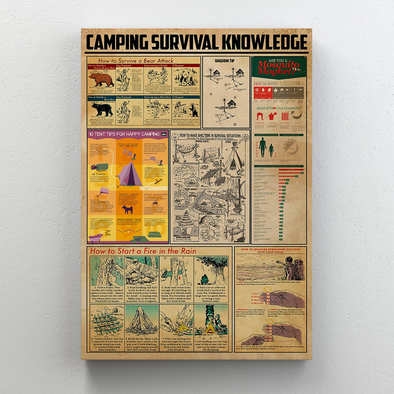 Camping Knowledge - Wrapped Canvas Graphic Art, 36" H x 24" W x 2" D