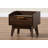 Caden 16.9 " W Nightstand