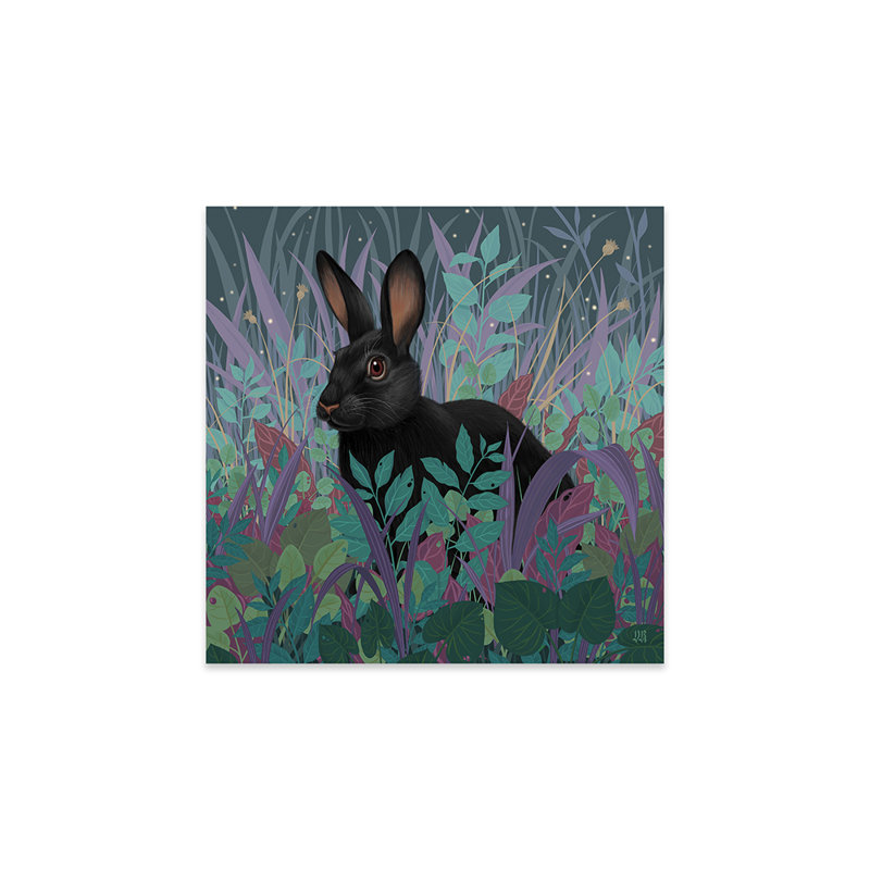 " Black Rabbit " by Vasilisa Romanenko