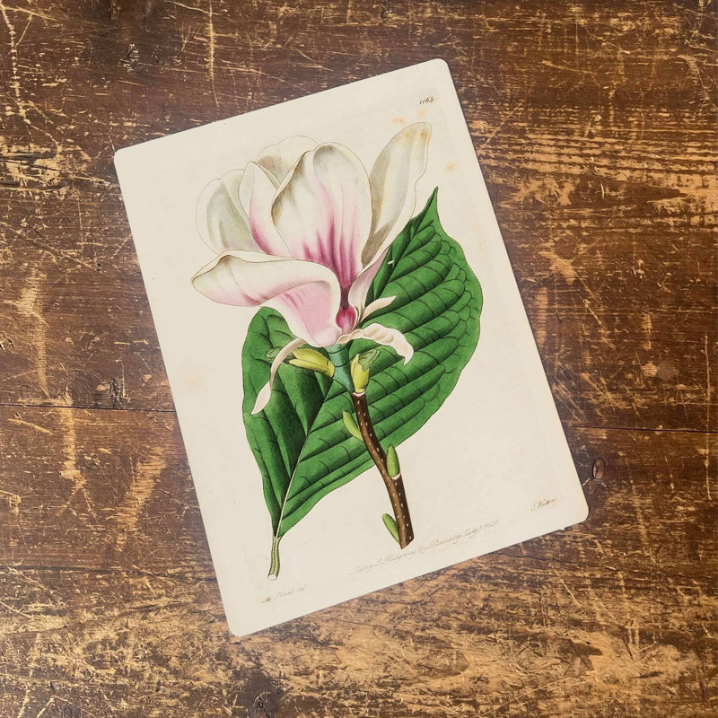 Plants & Flowers Wall Decor on Metal, 41cm H x 28cm W