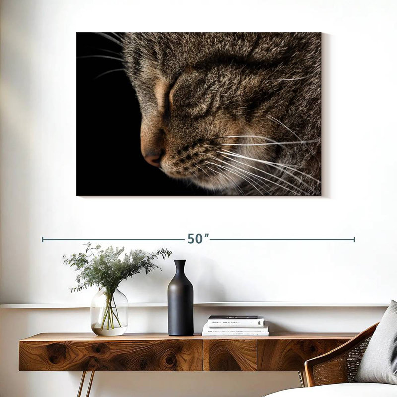 Brampt endormi chat tigré, H 26 po x l 39 po