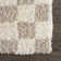 Atiran Checkered Shag Beige Area Rug