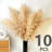 10 PCS Tall Pampas Grass Stems In Natural Beige, Add A Boho Touch To Your Spaceâ€”Pompas Grass Ideal For Floral Arrangements, Floor Vases, Weddings, And Creating A Bohemian Ambiance At Home.