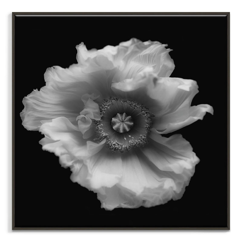 Print on Canvas, 61cm H x 61cm W, Black Floater Frame