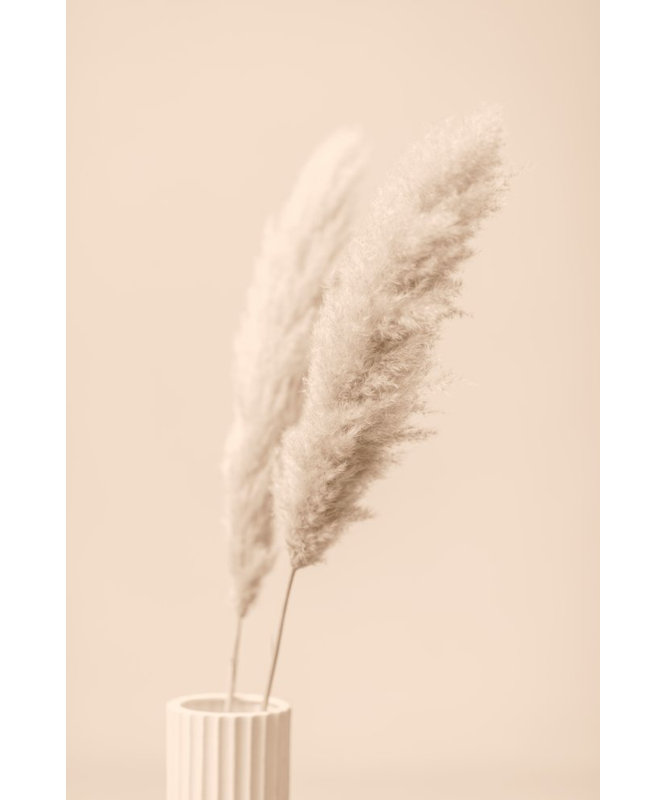 Wrapped Canvas Print, 50.8cm H x 76.2cm W