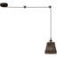 Anastassia 1 - Light Black Pendant