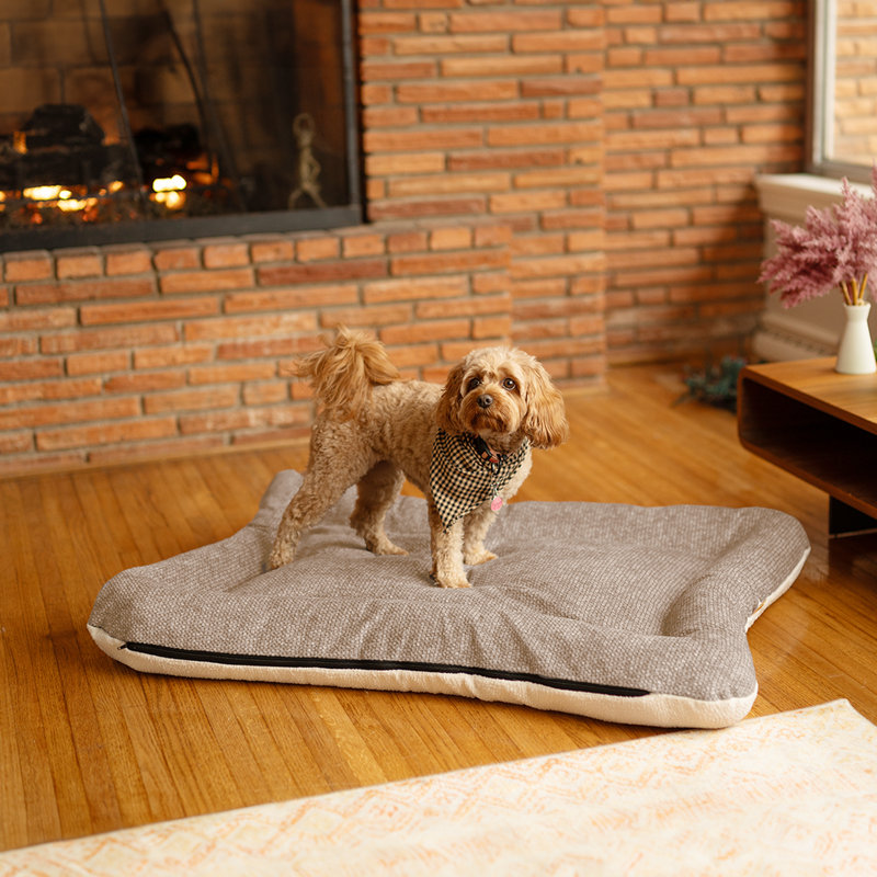 Lit pour chien et chat en microsuède réversible ivoire All Day with Cloud 9, H 5 po x l 40 po x P 30 po, Lin Merlin