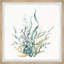 Marine Gardens by Marmont Hill - Single Picture Frame Painting-742068034