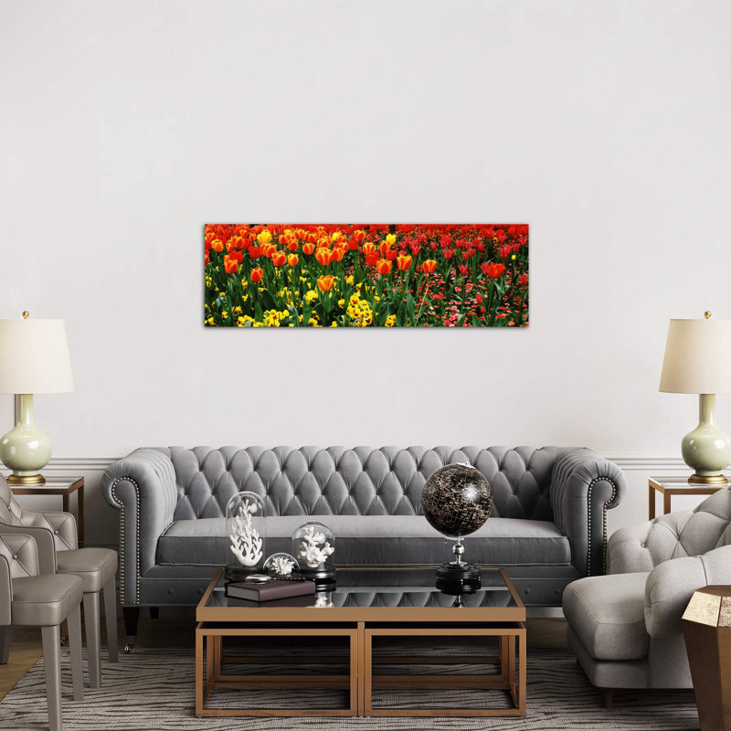 Tulips In A Field, St. James's Park, City Of Westminster, London, England by Panoramic Images - Wrapped Canvas Panoramic Print
