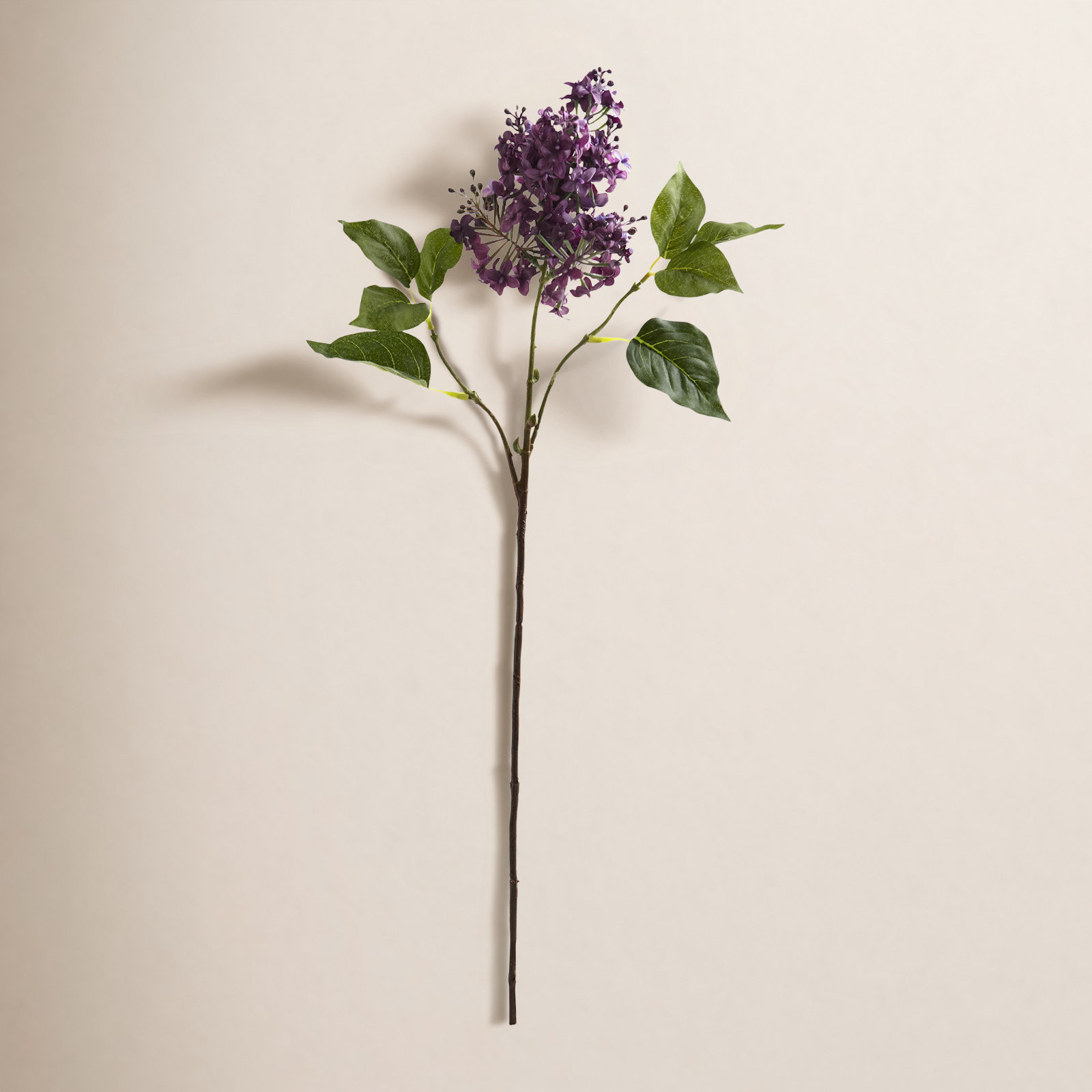 Lilac Floral Stems, Purple