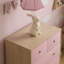 Kayshia 5 Drawer Chest-1624088883