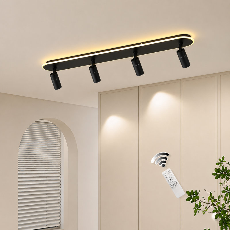 White LED Adjustable Fixed Track Head
