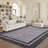 Modern Bordered Area Rug Washable Rug for Living Room, Neutral Minimalist Carpet, Soft Thin Low Pile Non Shedding Floor Covering, Indoor Foldable Non Slip Mat for Bedroom-558673583