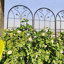2 Pack Metal Garden Trellis, 86.7" X 19.7" Rustproof Trellis, Flower Support For Climbing Plants Outdoor