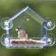 Mangeoire pour fenêtre Clear View